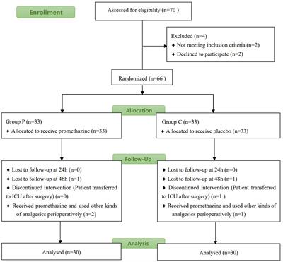 Prospective case–control study on pain intensity after the use of promethazine in patients undergoing videothoracoscopy